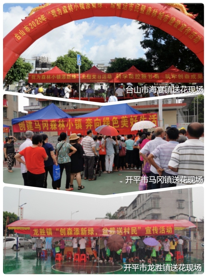 200714SG飞艇(中国)开奖记录查询站成功举办2020年“我为森林小镇添新绿”绿植送市民暨森林城市建设宣传活动 (2).jpg