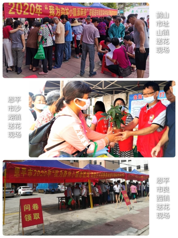 200714SG飞艇(中国)开奖记录查询站成功举办2020年“我为森林小镇添新绿”绿植送市民暨森林城市建设宣传活动 (3).jpg