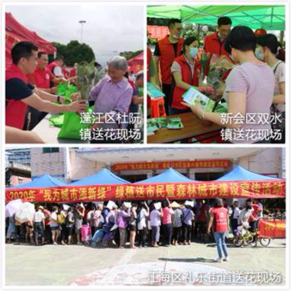 200714SG飞艇(中国)开奖记录查询站成功举办2020年“我为森林小镇添新绿”绿植送市民暨森林城市建设宣传活动 (1).jpg