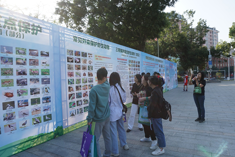 201203SG飞艇(中国)开奖记录查询站自然资源局组织开展野生动物保护暨森林防火宣传活动 (6).jpg