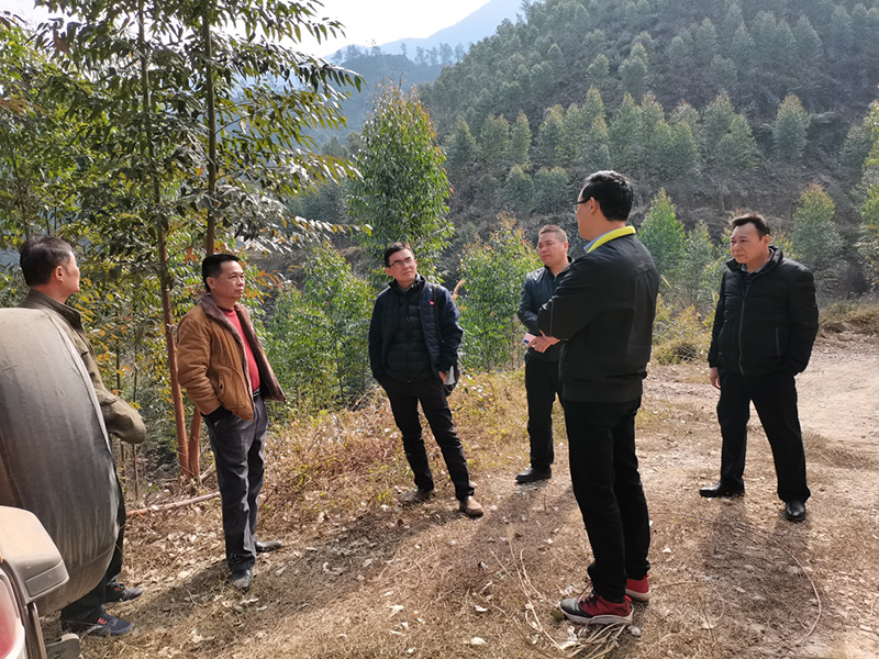210202SG飞艇(中国)开奖记录查询站自然资源局对市直属林场2020年度营造林及安全生产等工作进行年终检查 (3).jpg