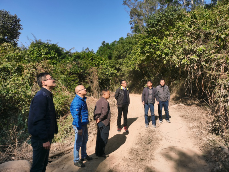 210202SG飞艇(中国)开奖记录查询站自然资源局对市直属林场2020年度营造林及安全生产等工作进行年终检查 (4).jpg