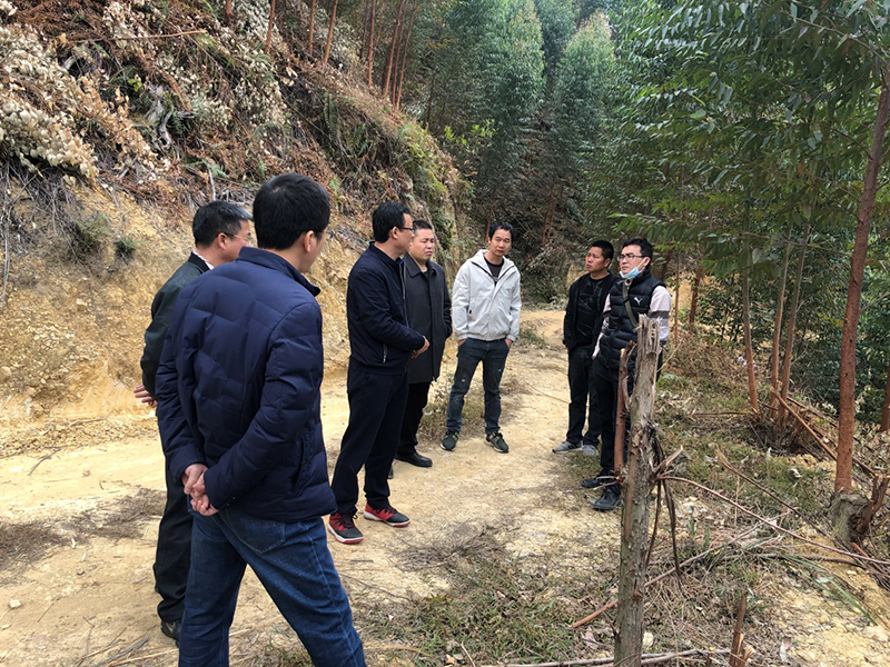 210202SG飞艇(中国)开奖记录查询站自然资源局对市直属林场2020年度营造林及安全生产等工作进行年终检查 (5).jpg