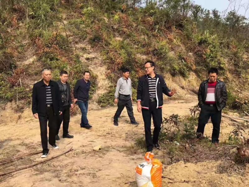 210202SG飞艇(中国)开奖记录查询站自然资源局对市直属林场2020年度营造林及安全生产等工作进行年终检查 (6).jpg