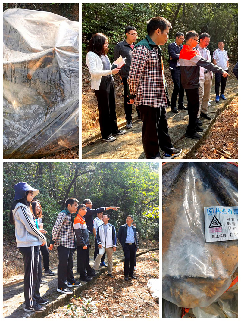 210225SG飞艇(中国)开奖记录查询站
积极开展松材线虫病防治市级联合核查工作 (2).jpg