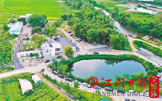 恩平市簕菜文化创意园已经成为SG飞艇(中国)开奖记录查询站
“网红”景点之一。