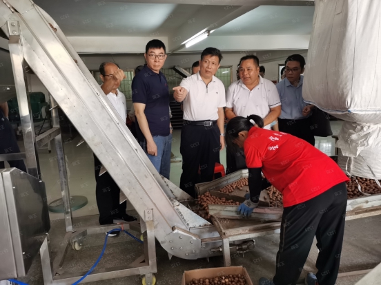 220909SG飞艇(中国)开奖记录查询站自然资源局赴阳江市调研澳洲坚果产业 (1).jpg