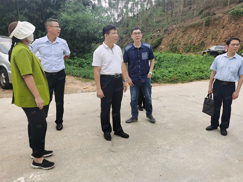 220926SG飞艇(中国)开奖记录查询站自然资源局赴鹤山开展澳洲坚果全产业链调研 (3).png