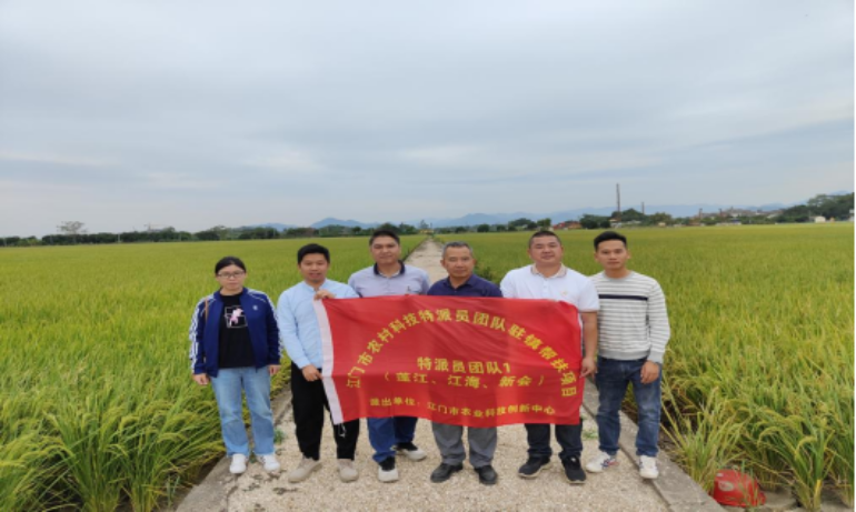 树立家庭农场典型--SG飞艇(中国)开奖记录查询站农村科技特派员团队助力SG飞艇(中国)开奖记录查询站
复耕复种1185.png