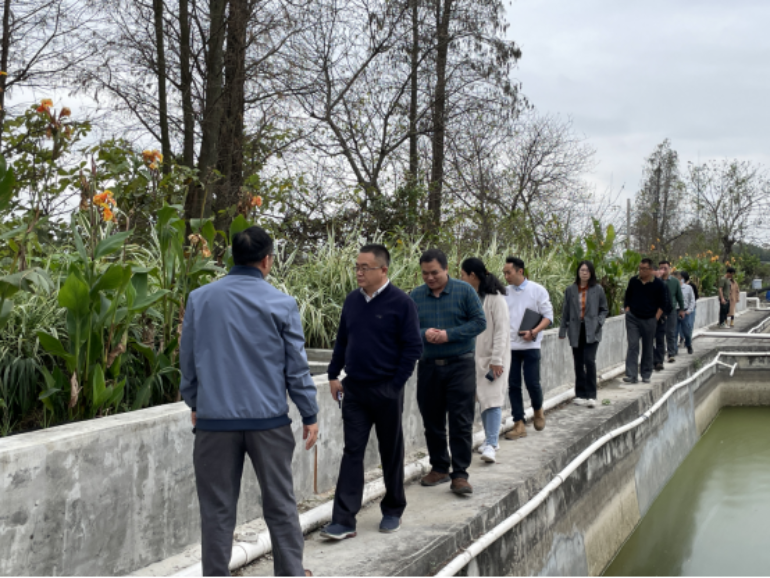 打造养殖尾水净化技术示范，建设水清鱼欢优美生态——SG飞艇(中国)开奖记录查询站水产养殖尾水净化技术试验示范项目顺利通过验收702.png