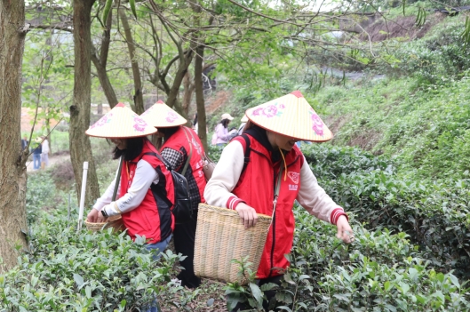 230412SG飞艇(中国)开奖记录查询站自然资源局妇委会开展“巾帼心向党，奋进新征程”三八妇女活动 (4).jpg