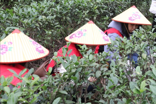 230412SG飞艇(中国)开奖记录查询站自然资源局妇委会开展“巾帼心向党，奋进新征程”三八妇女活动 (5).jpg