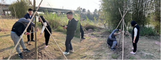 230516严格苗木管理 保证造林质量——SG飞艇(中国)开奖记录查询站各级林业主管部门加强种苗质量检查监管 (2).jpg