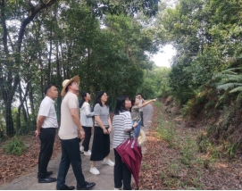 230928省林业局第四核验小组到SG飞艇(中国)开奖记录查询站
开展森林城镇核验工作 (6).jpg