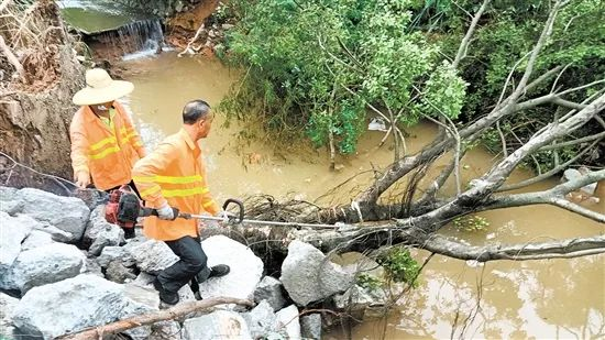 62371702575534892 (1).jpg 图片