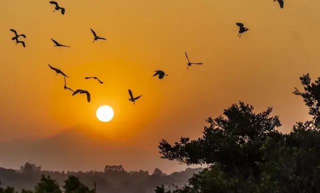 景区供图 景区供图