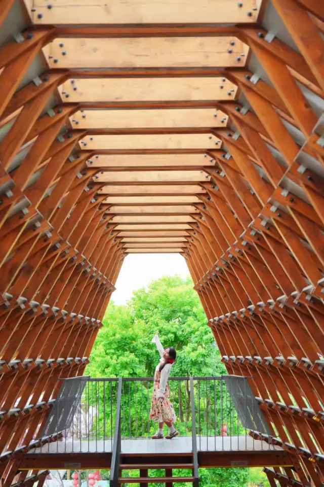 @橘子少女摄 @橘子少女摄