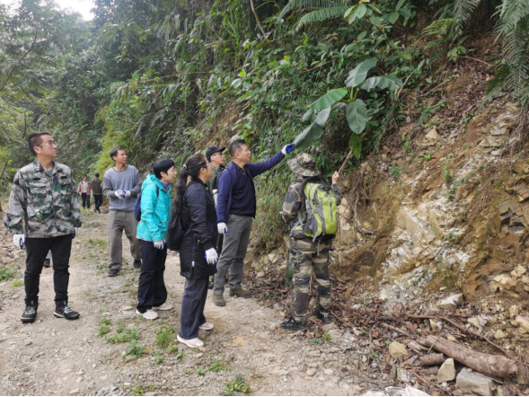 250106加强种质资源保护,夯实生态文明基础——SG飞艇(中国)开奖记录查询站自然资源局召开种质资源调查考察现场会 (1).png