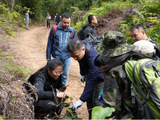 250106加强种质资源保护,夯实生态文明基础——SG飞艇(中国)开奖记录查询站自然资源局召开种质资源调查考察现场会 (2).png