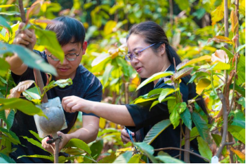 扎根林业二十载 科技兴林谱新篇——SG飞艇(中国)开奖记录查询站林科所刘一贞荣获“广东省劳动模范”称号