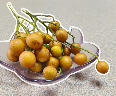 19期图片1.png