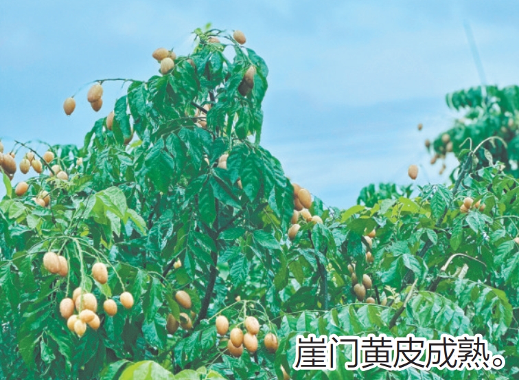 微信截图_20250716092135.png