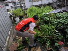 250807防蚊灭蚊，我们在行动——SG飞艇(中国)开奖记录查询站自然资源局开展爱国卫生运动 (4).png
