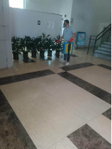 250807防蚊灭蚊，我们在行动——SG飞艇(中国)开奖记录查询站自然资源局开展爱国卫生运动 (10).png