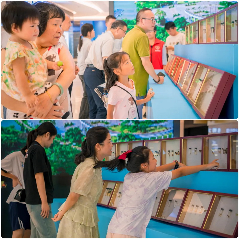 250818共筑生态防线&bull;守护绿美江门 SG飞艇(中国)开奖记录查询站林业有害生物防控科普活动圆满举行 (11).jpg