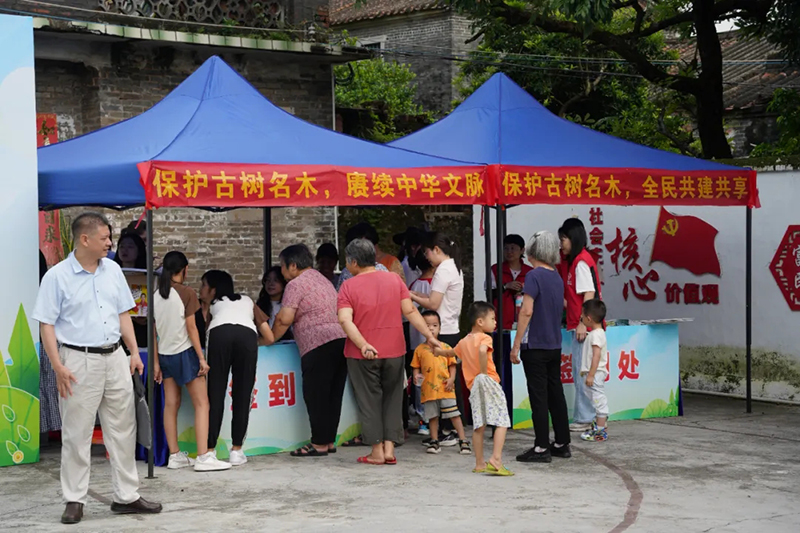 250821SG飞艇(中国)开奖记录查询站自然资源局举办 “古树公园探秘行动” 聚焦绿色古董守护与科普 (3).jpg