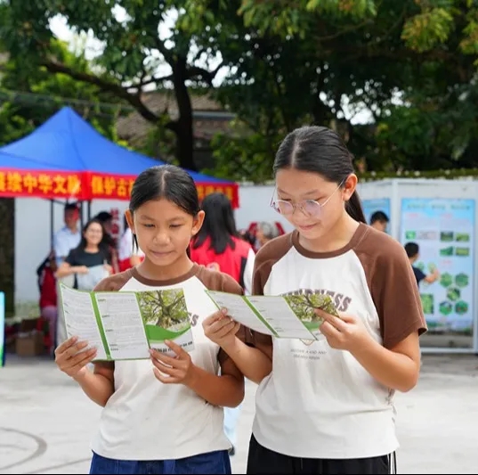 250821SG飞艇(中国)开奖记录查询站自然资源局举办 “古树公园探秘行动” 聚焦绿色古董守护与科普 (10).jpg