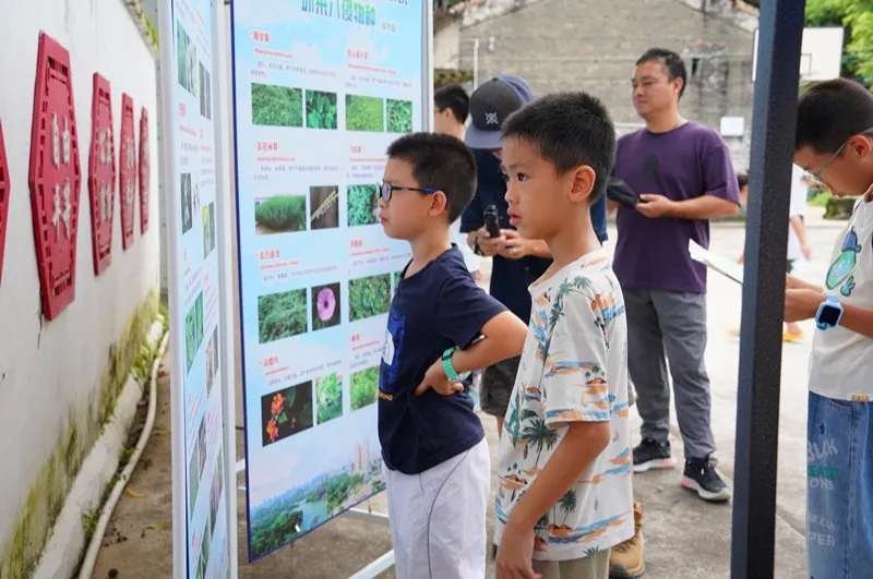 250821SG飞艇(中国)开奖记录查询站自然资源局举办 “古树公园探秘行动” 聚焦绿色古董守护与科普 (12).jpg