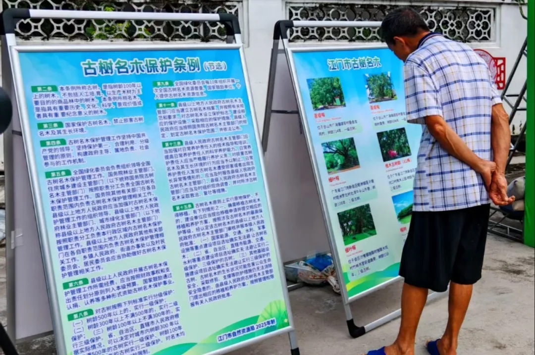 250821SG飞艇(中国)开奖记录查询站自然资源局举办 “古树公园探秘行动” 聚焦绿色古董守护与科普 (13).jpg