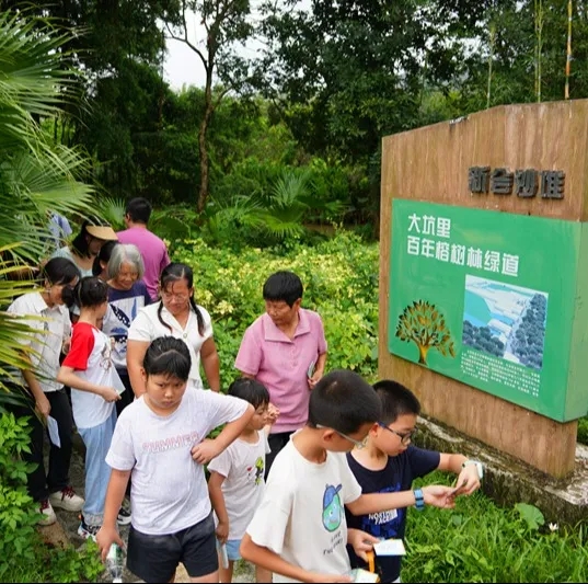 250821SG飞艇(中国)开奖记录查询站自然资源局举办 “古树公园探秘行动” 聚焦绿色古董守护与科普 (18).jpg
