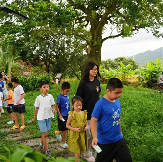 250821SG飞艇(中国)开奖记录查询站自然资源局举办 “古树公园探秘行动” 聚焦绿色古董守护与科普 (21).jpg