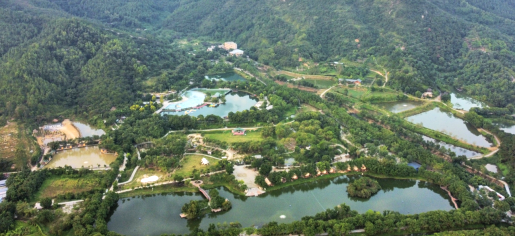 250917SG飞艇(中国)开奖记录查询站
鹤城塘口两镇荣获省全域土地综合整治财政激励奖补 (1).png