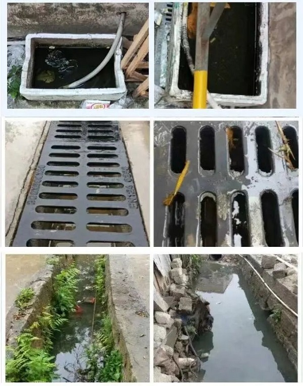 雨季来临警惕基孔肯雅热图2.jpg