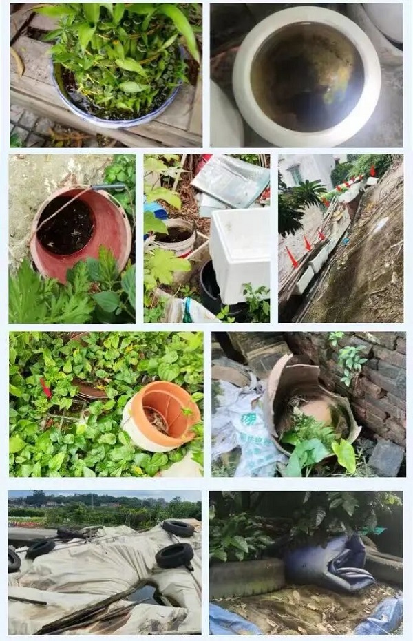 雨季来临警惕基孔肯雅热图1.jpg