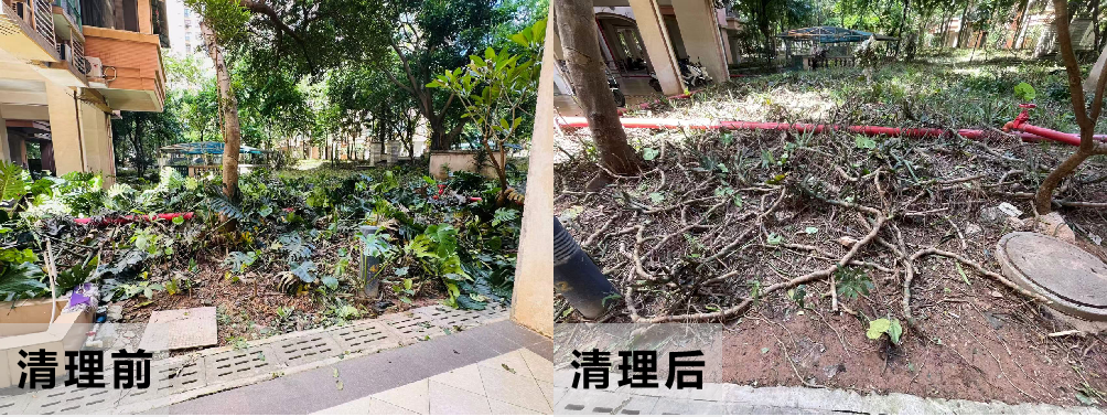 微信图片_2025-10-04_084332_499.png