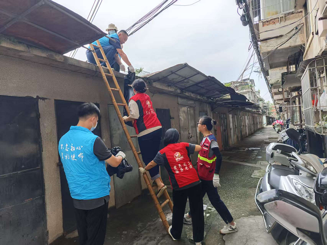 图片2:党员志愿者清理屋顶潮湿区域的垃圾和杂物.png