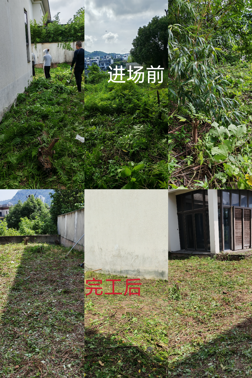 ecc446852df68300d9682fed40f3e783.jpg