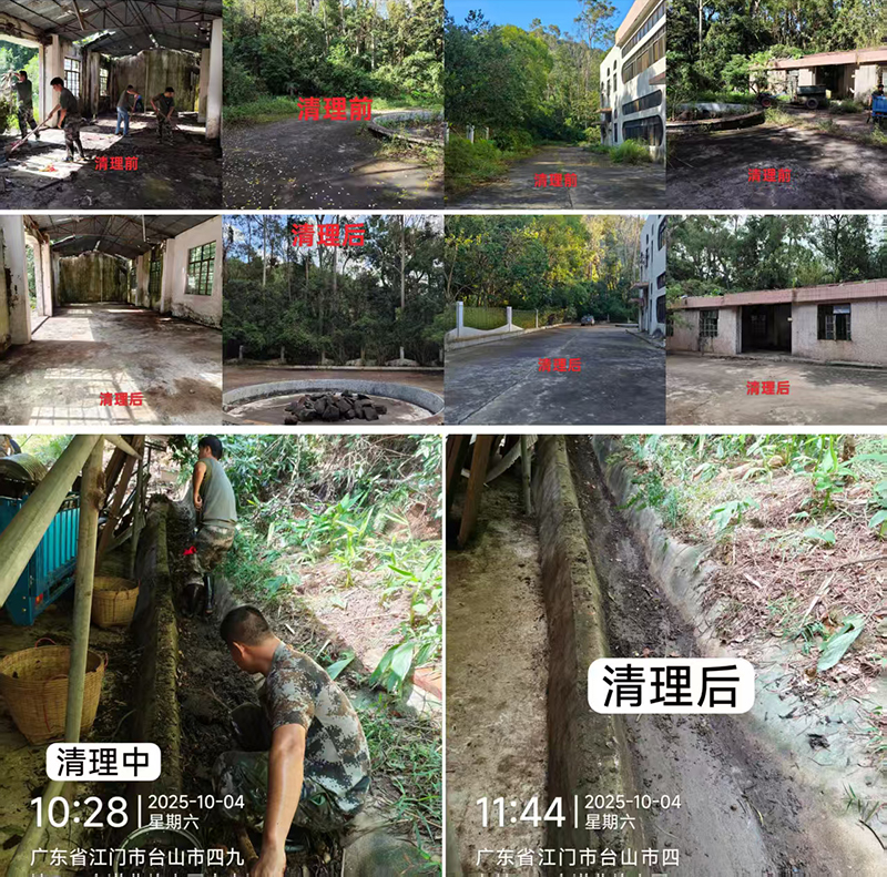 251023SG飞艇(中国)开奖记录查询站自然资源局多措并举精准打好基孔肯雅热疫情防控“组合拳”(2).jpg
