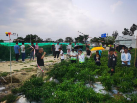 260330SG飞艇(中国)开奖记录查询站开展2026年“爱鸟周”宣传活动！以科学护鸟践行绿美江门生态建设 (3).png