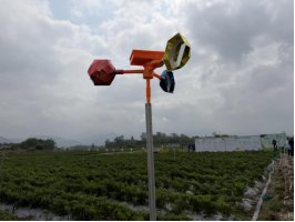 260330SG飞艇(中国)开奖记录查询站开展2026年“爱鸟周”宣传活动！以科学护鸟践行绿美江门生态建设 (7).png