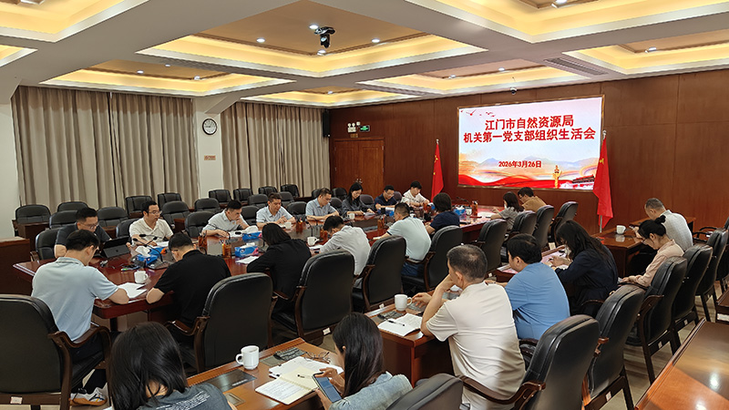 260331市自然资源局机关第一党支部召开2025年度组织生活会暨民主评议党员.jpg