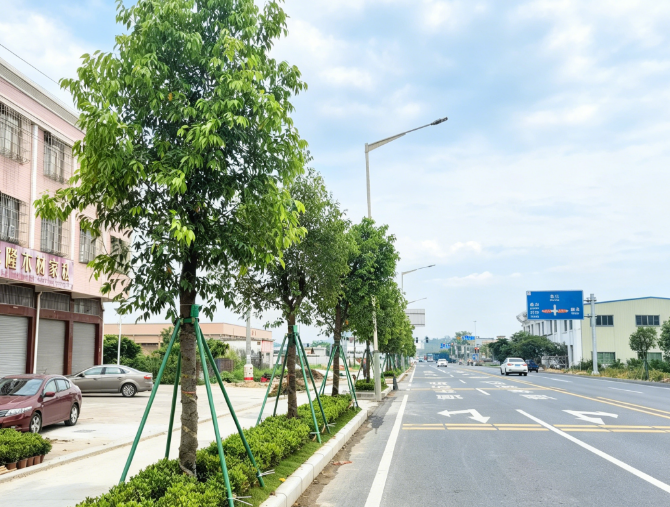 G240线（大江明珠段）.png