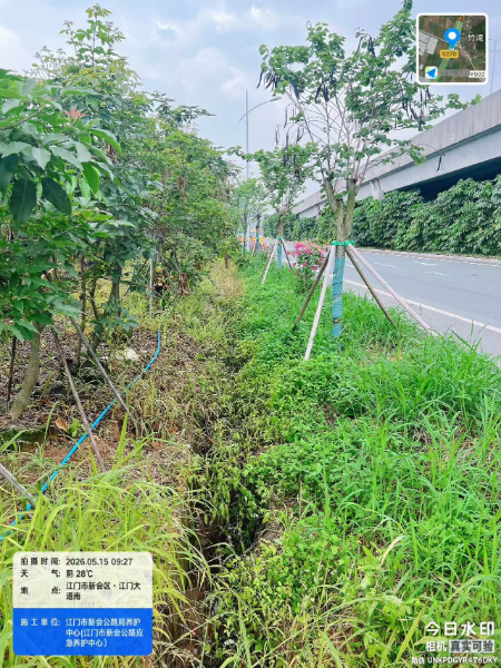 清理排水沟前.jpg