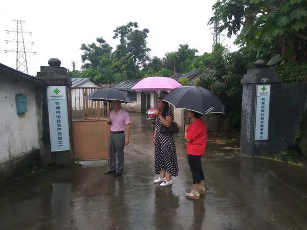 20190711.jpg 20190711.jpg