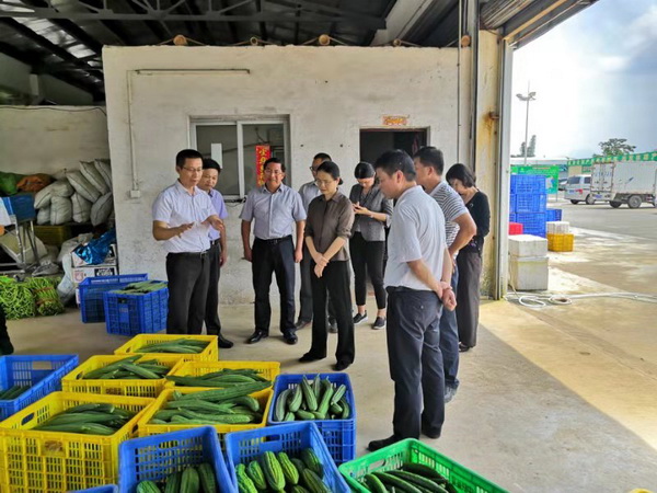 20190718(1).jpg 20190718(1).jpg