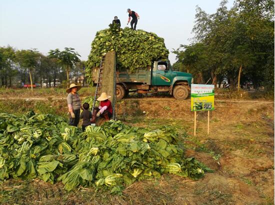 20180129(睦州).jpg 20180129(睦州).jpg